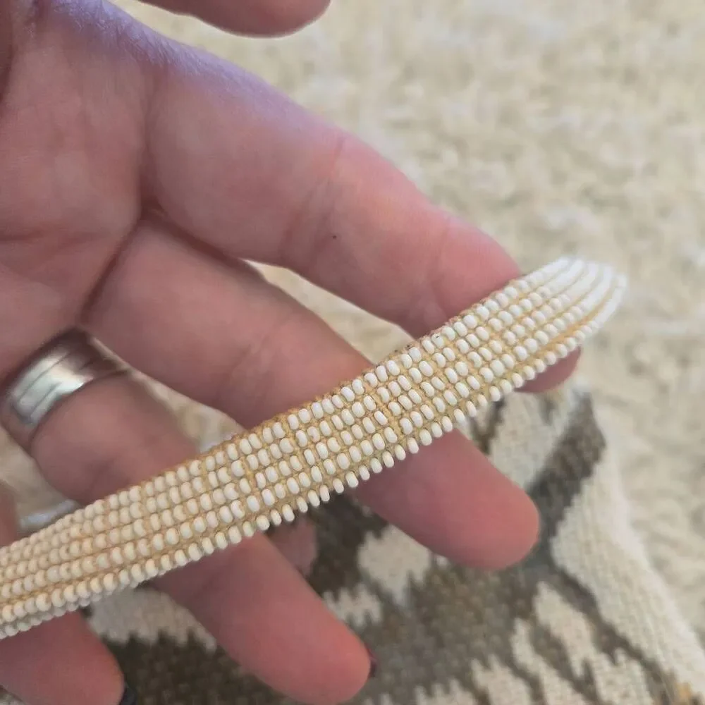 Vintage Czech Beaded Bag Lined Zipper White Microbead 1920s 1930s
